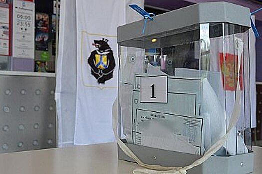 Избирательные кампании в Хабаровском крае выходят на финишную прямую без эксцессов
