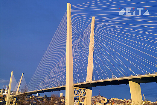 Депутаты установили порядок принятия НПА в Приморье