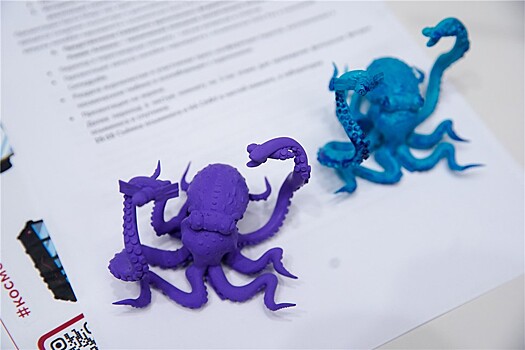 Осьминог Octo-Pax полетит в космос в ближайшем мае