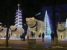 Мастер йоги Айенгара дала совет, как найти в себе силы жить в новом году
