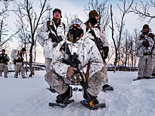 Еврокомиссия предрекла распад НАТО из-за позиции Трампа по Гренландии