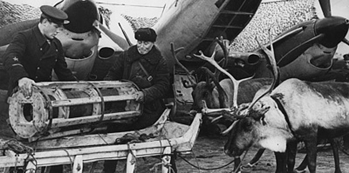 Тихие герои. Как во время войны действовали оленетранспортные батальоны