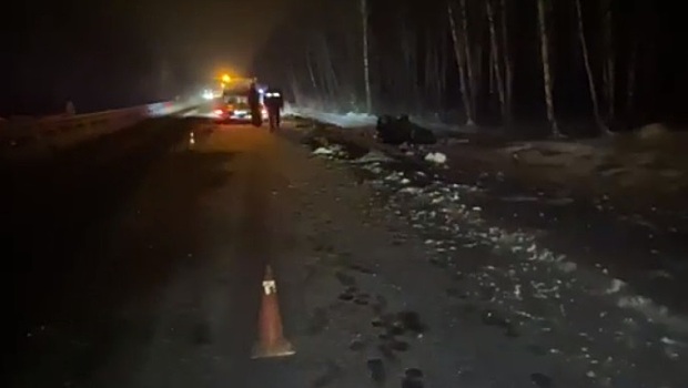 13-летняя девочка пострадала в ДТП в Лысковском районе