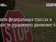 На девяти федеральных трассах в Ленобласти ограничено движение 6 июля
