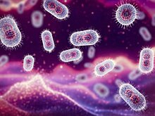 Эксперт Жемчугов: новый штамм оспы обезьян слабее ветрянки