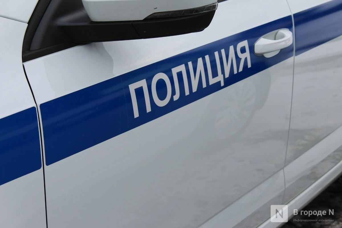 255 дел о незаконной миграции возбудила нижегородская полиция с начала года