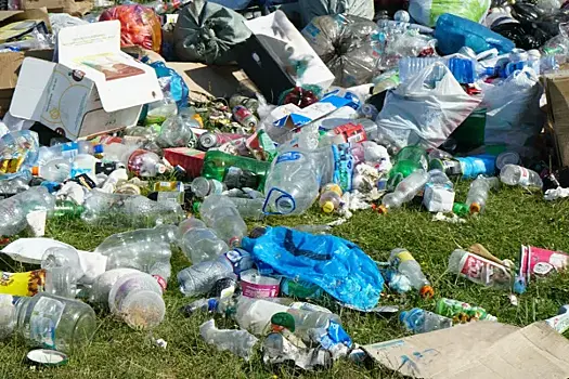 Прокуратура помогла жителям Кошкинского района избавиться от свалки