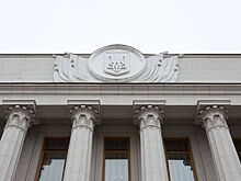 В Раде прокомментировали нападки проукраинских протестующих на Вэнса с дочерью