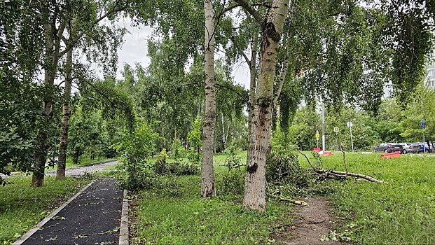 Квартиры рядом с Медведковским лесопарком подорожают