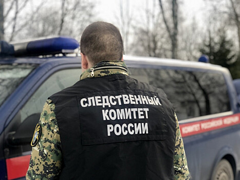 В Новосибирске завершено расследование дела о нападении на инспектора ДПС