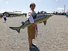 Вылов рыбы в этом году достигнет максимума за все постсоветское время