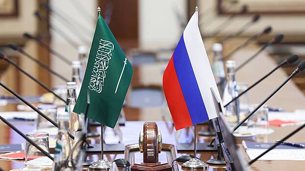 Эксперт Леер рассказал, для чего России безвизовый режим с Саудовской Аравией