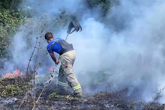 В Ставрополе ландшафтный пожар распространился на 10 гектаров