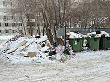 Челябинские власти пообещали скорую стабилизацию ситуации с мусором