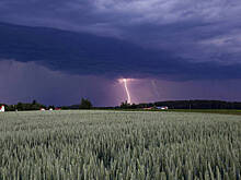 75 тысяч разрядов молний: во Франции остаются без света 100 тысяч домохозяйств