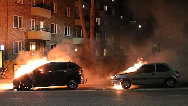 В Копенгагене задержали более 20 человек в ходе беспорядков