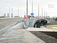 Лузгин прокомментировал объем работ, выполненных в рамках реконструкции Бакунинского моста