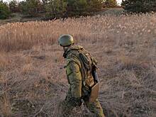 Подсчитаны разрушения на Кинбурнской косе из-за обстрелов ВСУ