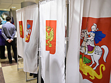 Порядка 480 временных участков для голосования могут открыть в Подмосковье
