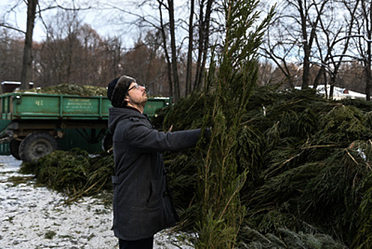 Акция «Елочный круговорот» по утилизации новогодних елок стартует в Москве 5 января