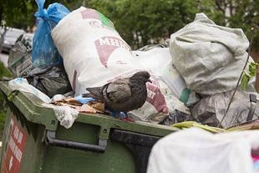 Ленинский район не убирали от мусора