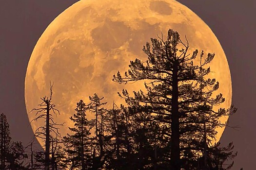 Ученые рассказали, когда россияне увидят следующее суперлуние