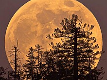 Ученые рассказали, когда россияне увидят следующее суперлуние