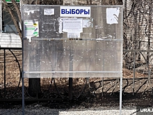 Партия «Новые люди» ушла из Кургана накануне выборов