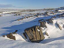 Кобяков заявил, что раскрытые на ПМЭФ арктические приоритеты будут продолжены на ВЭФ