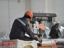 У двух компаний новосибирского депутата накопились миллионные долги за землю