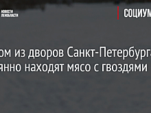В одном из дворов Санкт-Петербурга постоянно находят мясо с гвоздями