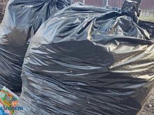 Златогорский предложил устраивать засады на мусорных площадках