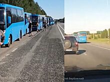 В Челябинск пригнали синие автобусы из Подмосковья