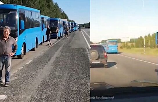 В Челябинск пригнали синие автобусы из Подмосковья