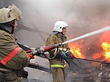 «Сгорели заживо»: крупный пожар с жертвами попал на видео в Приморье