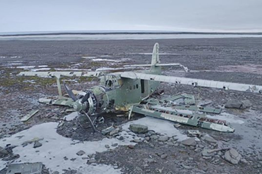 Члены экспедиции Северного флота спаслись от белого медведя на крыле самолета