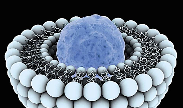 Ученые обнаружили новый фактор эффективной доставки лекарств в опухоли