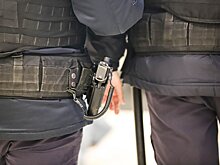 В Щелково задержали подозреваемого в драке с полицейским