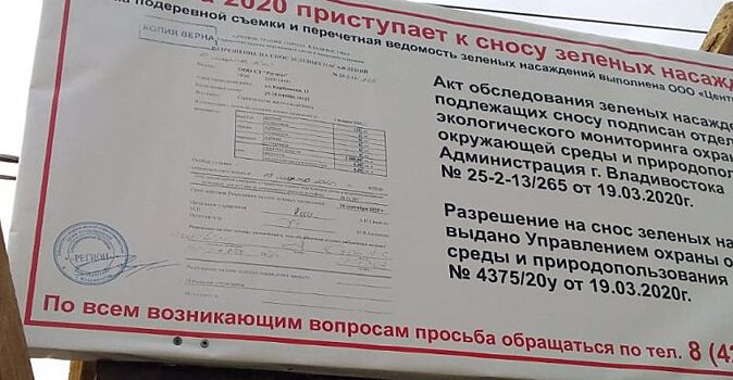 COVID-19 «подстегивает» строительство скандального объекта во Владивостоке
