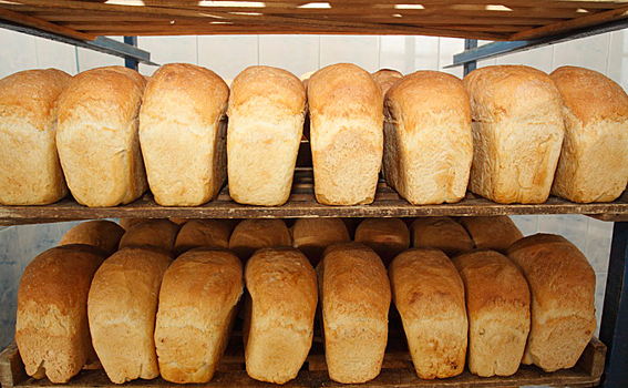 Следить за сроком годности хлеба призвали новосибирцев