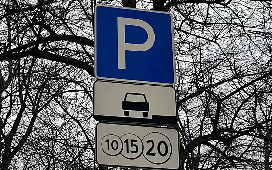 Ликсутов: Приложение «Парковки России» становится популярным в Петербурге