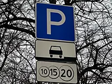 Ликсутов: Приложение «Парковки России» становится популярным в Петербурге