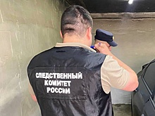 СК: Найденные в гараже в Саратове дети погибли от тупых травм головы