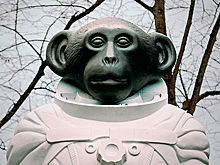 Зачем Латвия решила стать космической державой