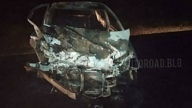 Семь пострадали, один погиб: Страшная авария произошла на Свободненской трассе