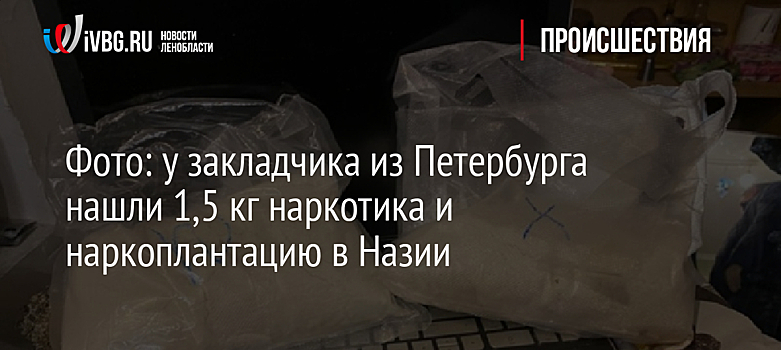 Фото: у закладчика из Петербурга нашли 1,5 кг наркотика и наркоплантацию в Назии