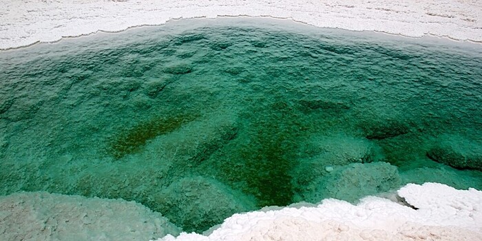 В пустыне Атакама нашли «затерянный мир» лагун с процветающими экосистемами