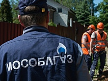 Семь населенных пунктов догазифицировали в Подмосковье с начала года