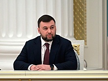 Пушилин заявил, что ряд стран дали согласие участвовать в трибунале над неонацистами