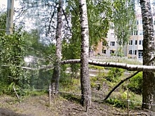 Жители Арзамаса показали фото последствий урагана и ливня
